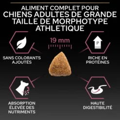 Pro Plan Sensitive Skin Large Athletic Adult au saumon - croquettes chien