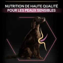 Pro Plan Sensitive Skin Large Athletic Adult au saumon - croquettes chien