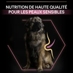 Pro Plan Sensitive Skin Large Robust Adult au saumon - croquettes chien