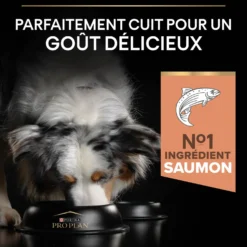 Pro Plan Sensitive Skin Medium Adult au saumon - croquettes chien