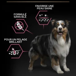 Pro Plan Sensitive Skin Medium Adult au saumon - croquettes chien