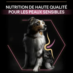 Pro Plan Sensitive Skin Medium & Large Adult au saumon - croquettes chien