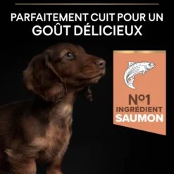 Pro Plan Sensitive Skin Small & Mini Puppy au saumon - croquettes chiot