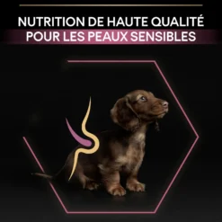 Pro Plan Sensitive Skin Small & Mini Puppy au saumon - croquettes chiot