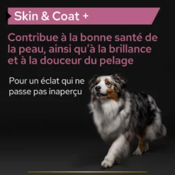Pro Plan® Skin & Coat+ en huile chien