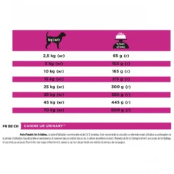 Pro Plan Veterinary Diets UR Urinary - croquettes chien
