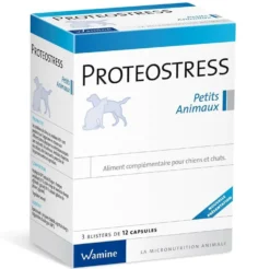 Proteostress chat, chien