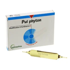 Pul Phyton chat, chien