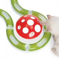 Recharge Champignon Senses 2.0 chat