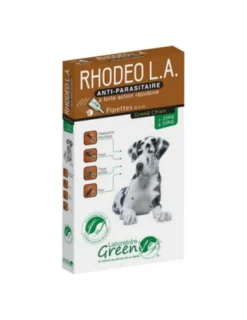 Rhodeo L.A. chien