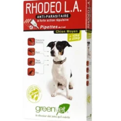 Rhodeo L.A. chien