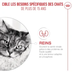 Royal Canin Ageing 15+ - Croquettes pour chat