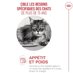 Royal Canin Ageing 15+ - Croquettes pour chat
