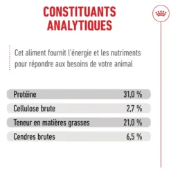 Royal Canin Ageing 15+ - Croquettes pour chat