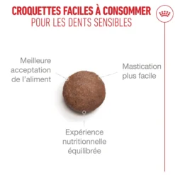 Royal Canin Ageing 15+ - Croquettes pour chat