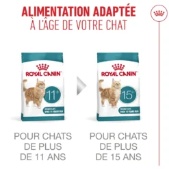 Royal Canin Ageing 11+ - croquettes chat