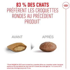 Royal Canin Ageing 11+ - croquettes chat
