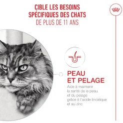 Royal Canin Ageing 11+ - croquettes chat