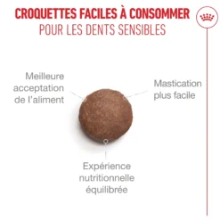 Royal Canin Ageing 11+ - croquettes chat