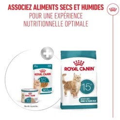Royal Canin Ageing 15+ - pâtée chat