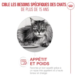 Royal Canin Ageing 15+ - pâtée chat