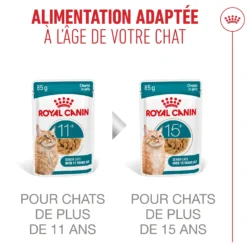 Royal Canin Ageing 11+ - pâtée chat
