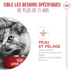 Royal Canin Ageing Sterilised 11+ chat senior