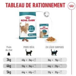Royal Canin Ageing Sterilised 11+ chat senior
