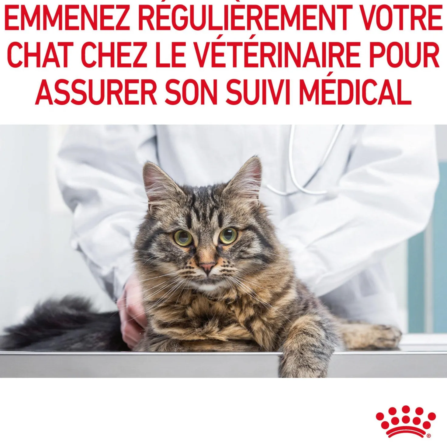 ROYAL CANIN Appetite Control Care en Sauce – Pâtée pour chat
