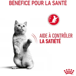 ROYAL CANIN Appetite Control Care en Sauce – Pâtée pour chat