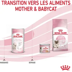 Royal Canin Babycat Milk - lait maternisé chaton