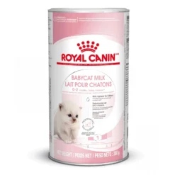 Royal Canin Babycat Milk - lait maternisé chaton