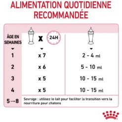 Royal Canin Babycat Milk - lait maternisé chaton