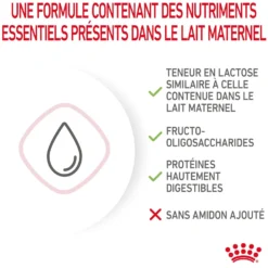 Royal Canin Babycat Milk - lait maternisé chaton