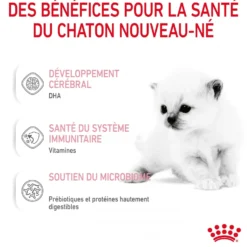 Royal Canin Babycat Milk - lait maternisé chaton