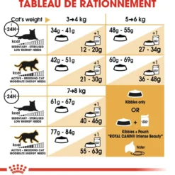 Royal Canin Bengal Adult - croquettes chat