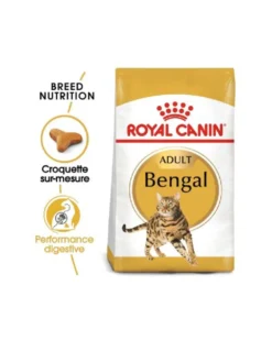 Royal Canin Bengal Adult - croquettes chat