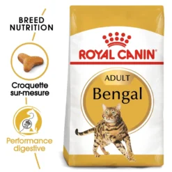Royal Canin Bengal Adult - croquettes chat