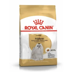 Royal Canin Bichon Maltais Adult - croquettes chien