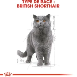 Royal Canin British Shorthair Adult - croquettes chat