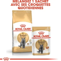 Royal Canin British Shorthair Adult - croquettes chat