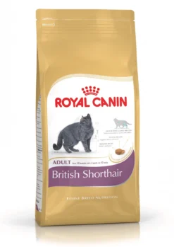 Royal Canin British Shorthair Adult - croquettes chat