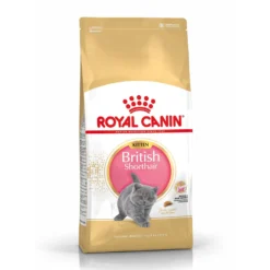 Royal Canin British Shorthair Kitten - croquettes chaton