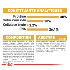 Royal Canin British Shorthair Kitten - croquettes chaton