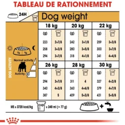 Royal Canin Bulldog Adult (Bulldog Anglais) - croquettes chien