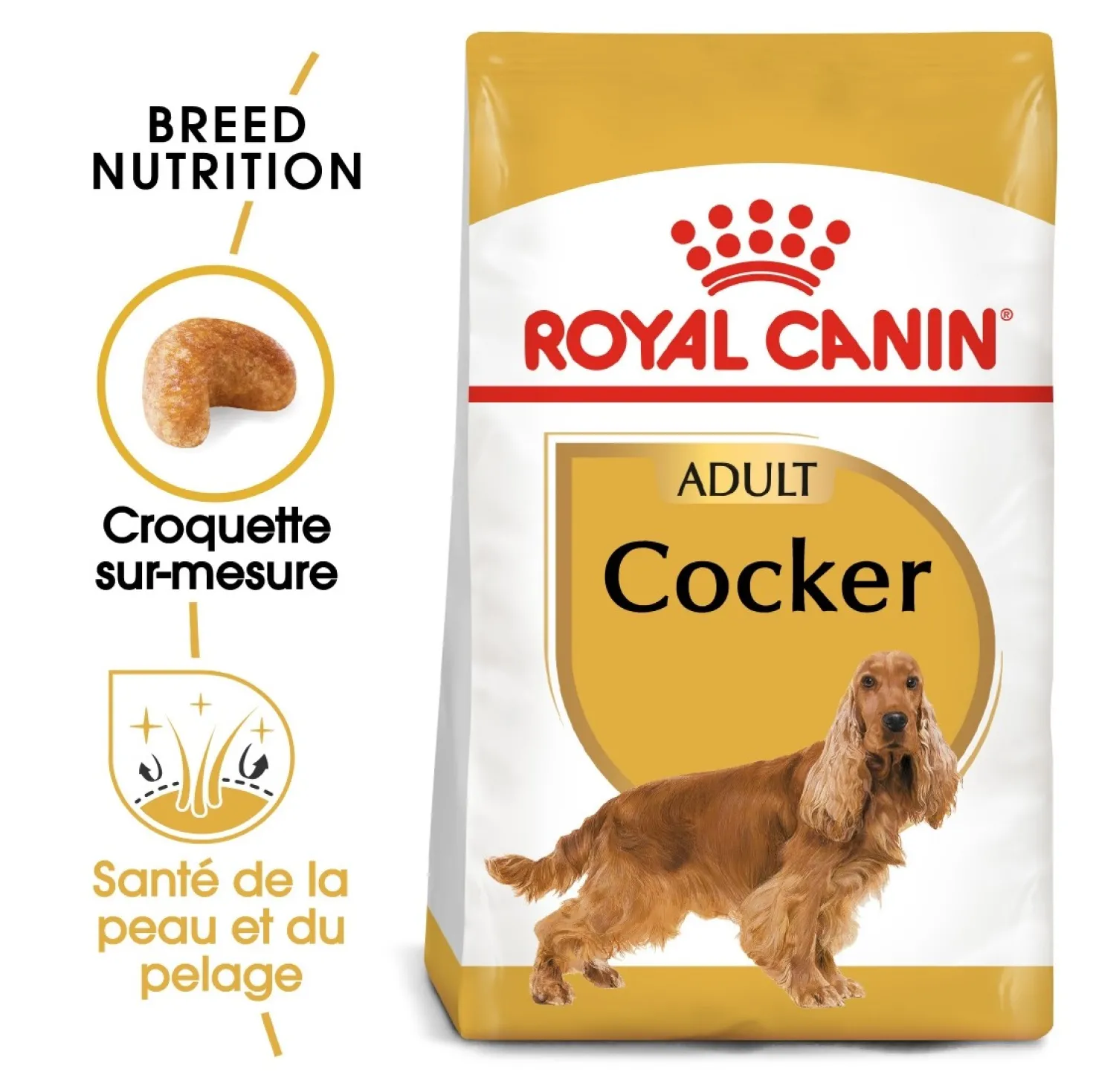 Royal Canin Cocker Adult - croquettes chien