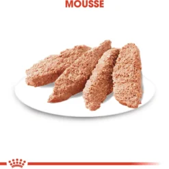 Royal Canin Dermacomfort - pâtée chien