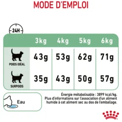 Royal Canin Digestive Care - croquettes chat