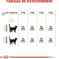 Royal Canin Digestive Care - croquettes chat