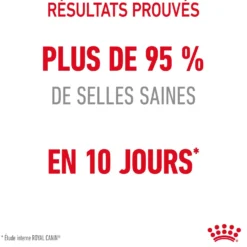 Royal Canin Digestive Care - croquettes chat